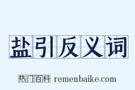 盐引反义词是什么意思的图片